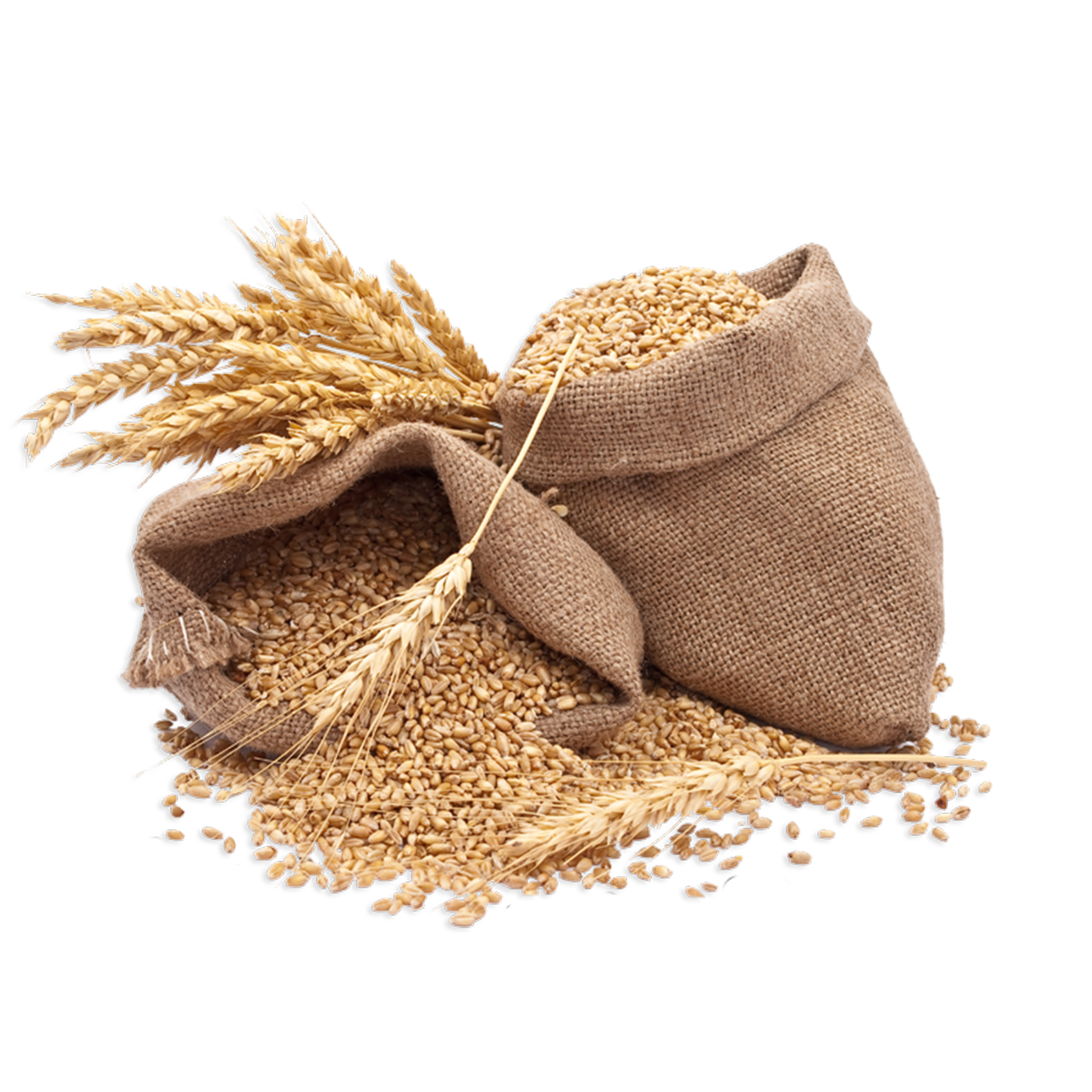 Khan Rice Mills